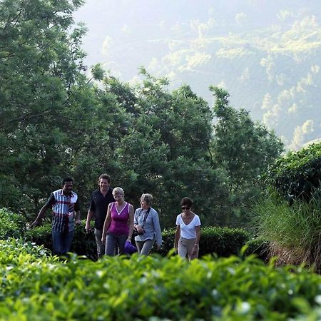 Shamrock Holiday Home Munnar Extérieur photo