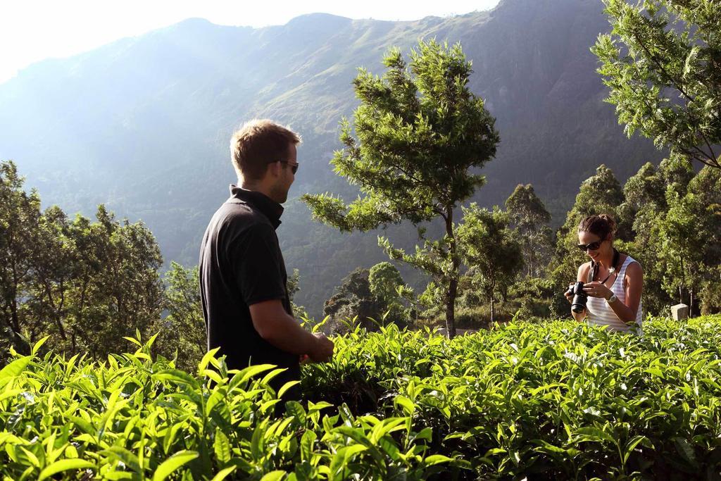 Shamrock Holiday Home Munnar Extérieur photo