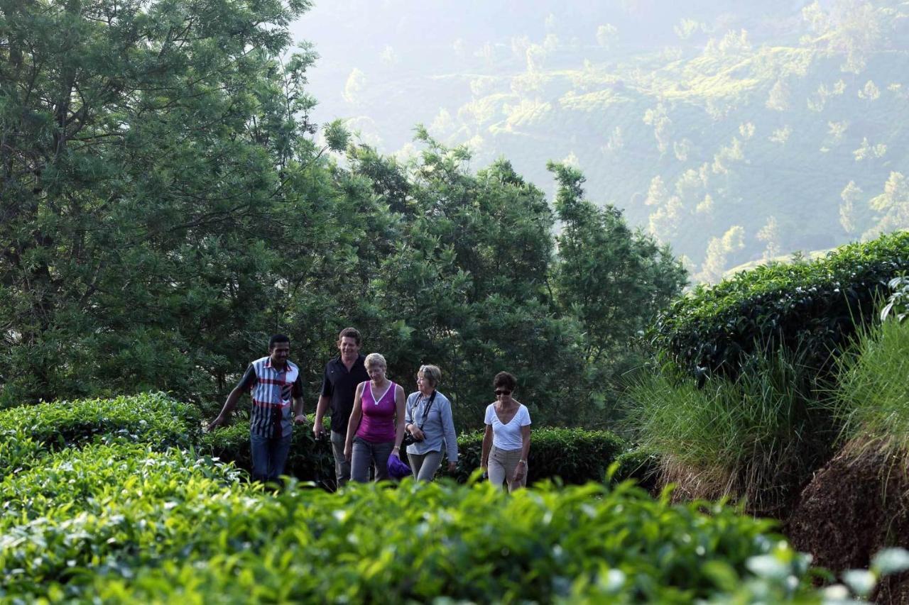Shamrock Holiday Home Munnar Extérieur photo
